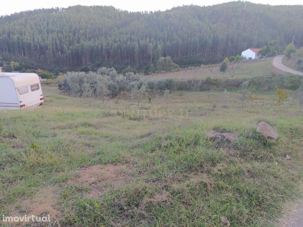 Terreno de 1 HECTARE - Ferreira do Zezere - Grande imagem: 3/6