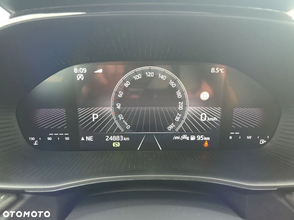 Skoda Fabia 1.0 TSI Selection DSG - 19