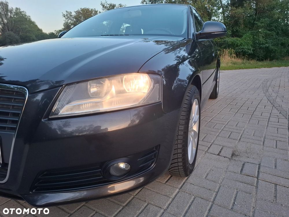 Audi A3 Sportback 1.6 Ambiente - 13