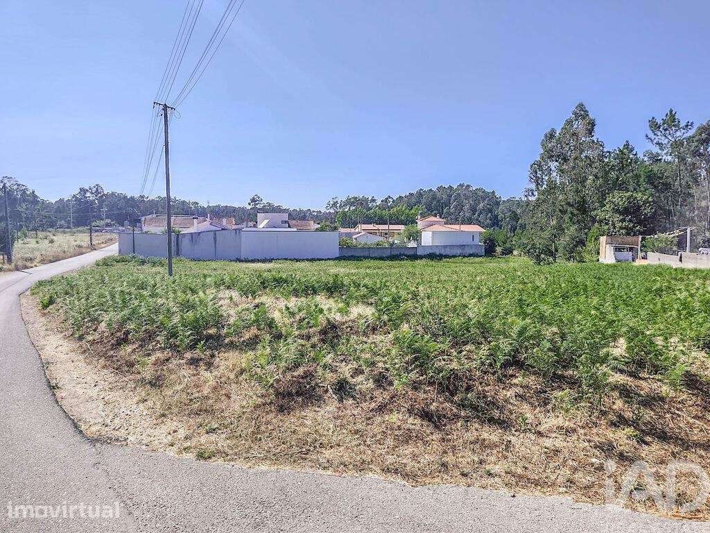 Terreno Agrícola em Maceira - Grande imagem: 3/10