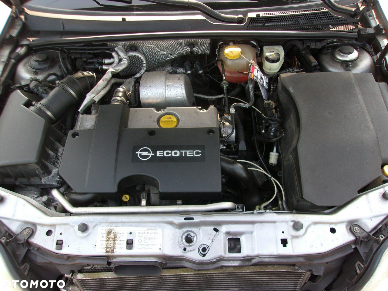Opel Signum - 28