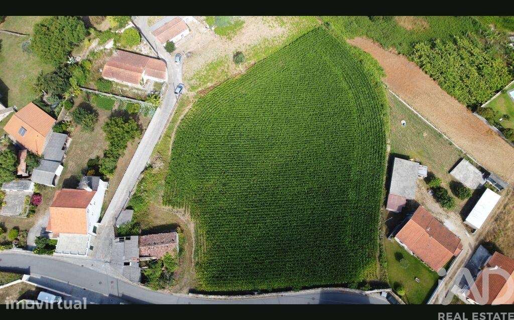 Terreno para construção em Antas de 4675,00 m2 - Grande imagem: 5/15
