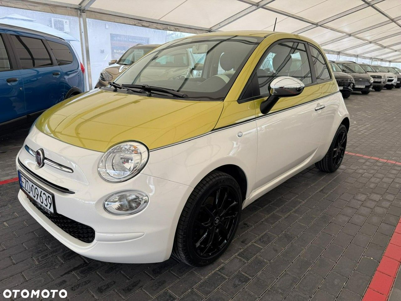 Fiat 500 - 5