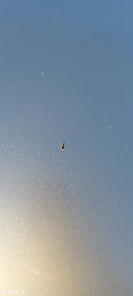 Opel Astra 1.4 Turbo - 17