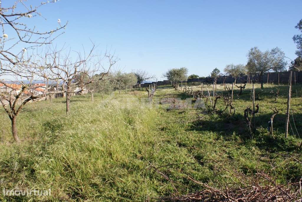 Terreno para construção urbana - Grande imagem: 2/17