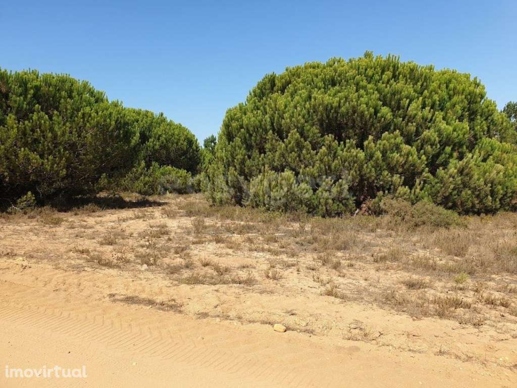 Terreno Rústico em Almograve com 5000m2 5Min da praia do cão - Grande imagem: 2/5