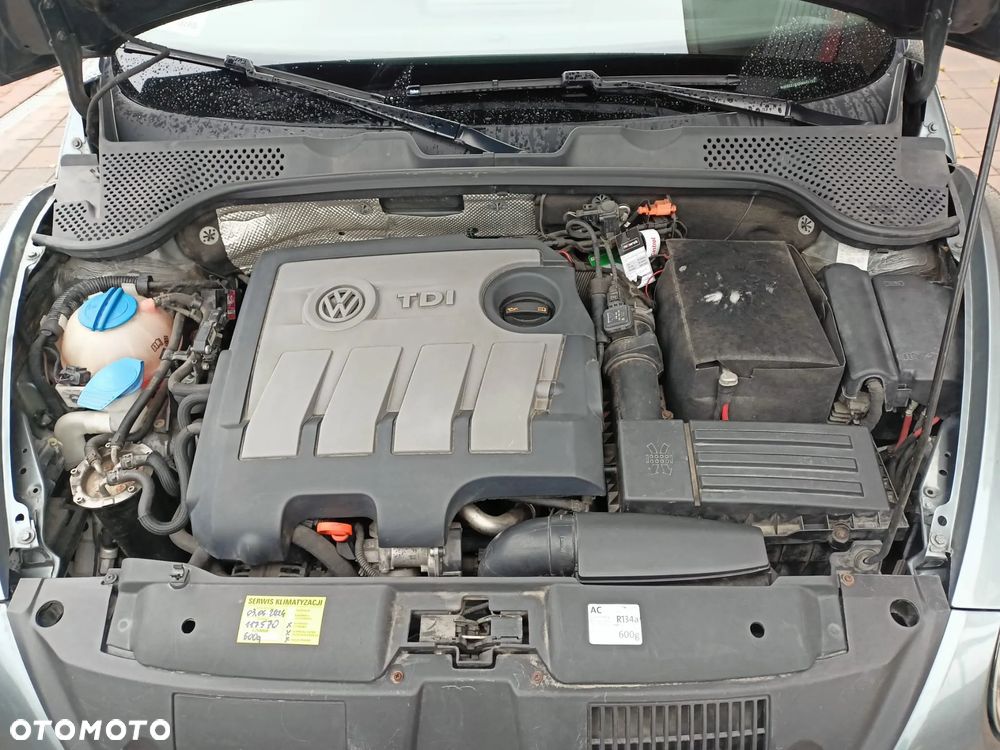 Volkswagen Beetle - 13