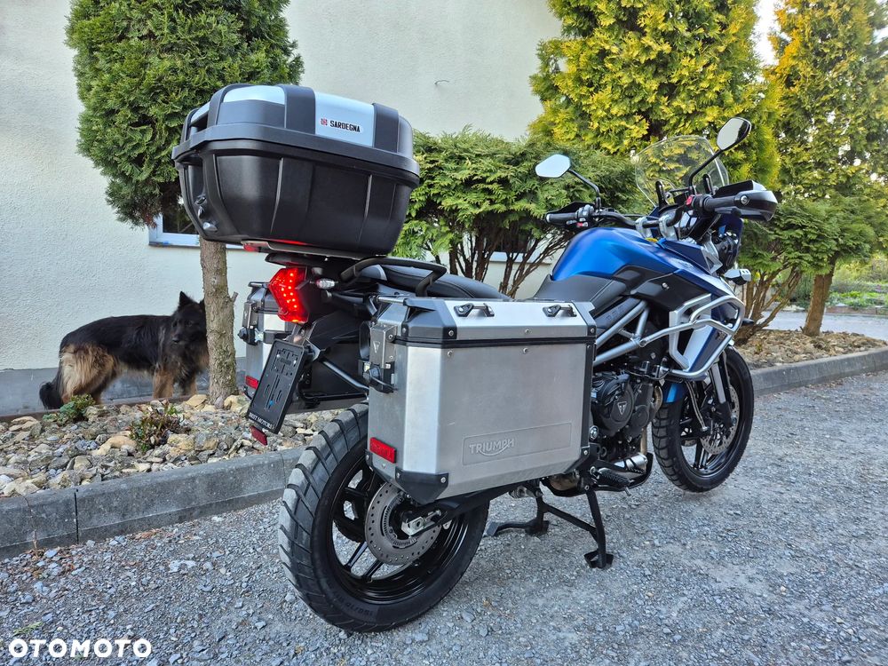 Triumph Tiger - 9