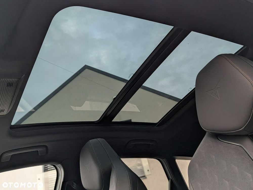 Cupra Terramar - 19