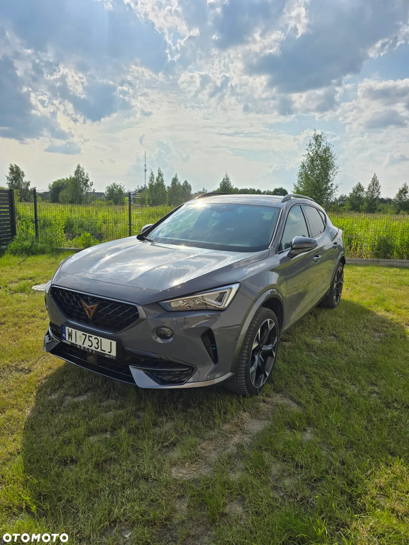 Cupra Formentor 2.0 TSI 4Drive DSG - 11