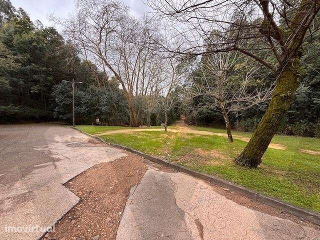 Terreno com 3.700 m2 nas termas de Vale da Mó - Grande imagem: 5/32