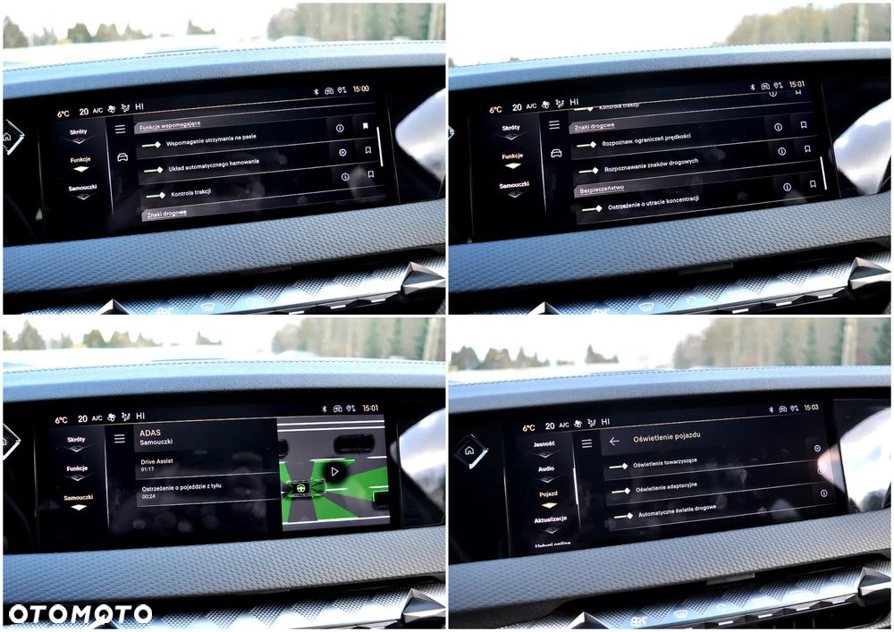 DS Automobiles DS 4 1.6 E-Tense Performance Line + - 39