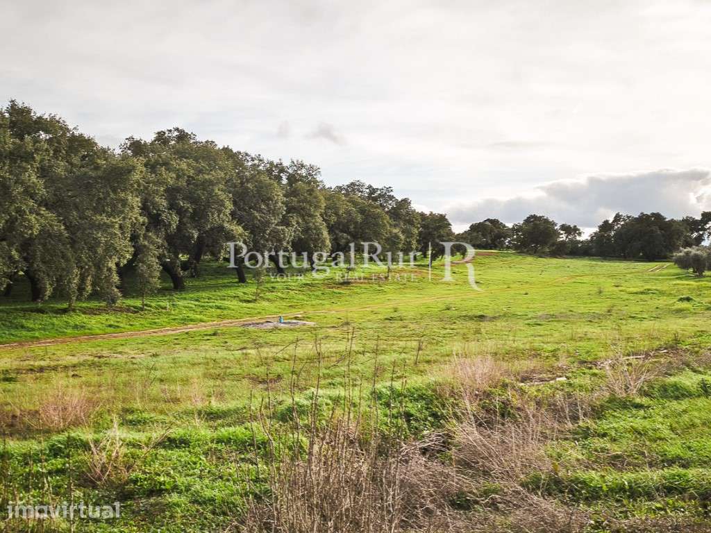 Terreno de 4,5 ha com licença para construção em Elvas - Grande imagem: 4/18