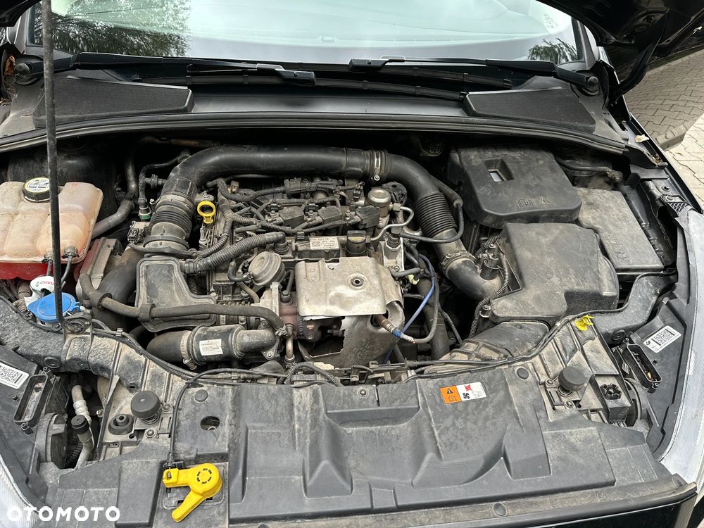 Ford Focus 1.0 EcoBoost Titanium ASS - 15