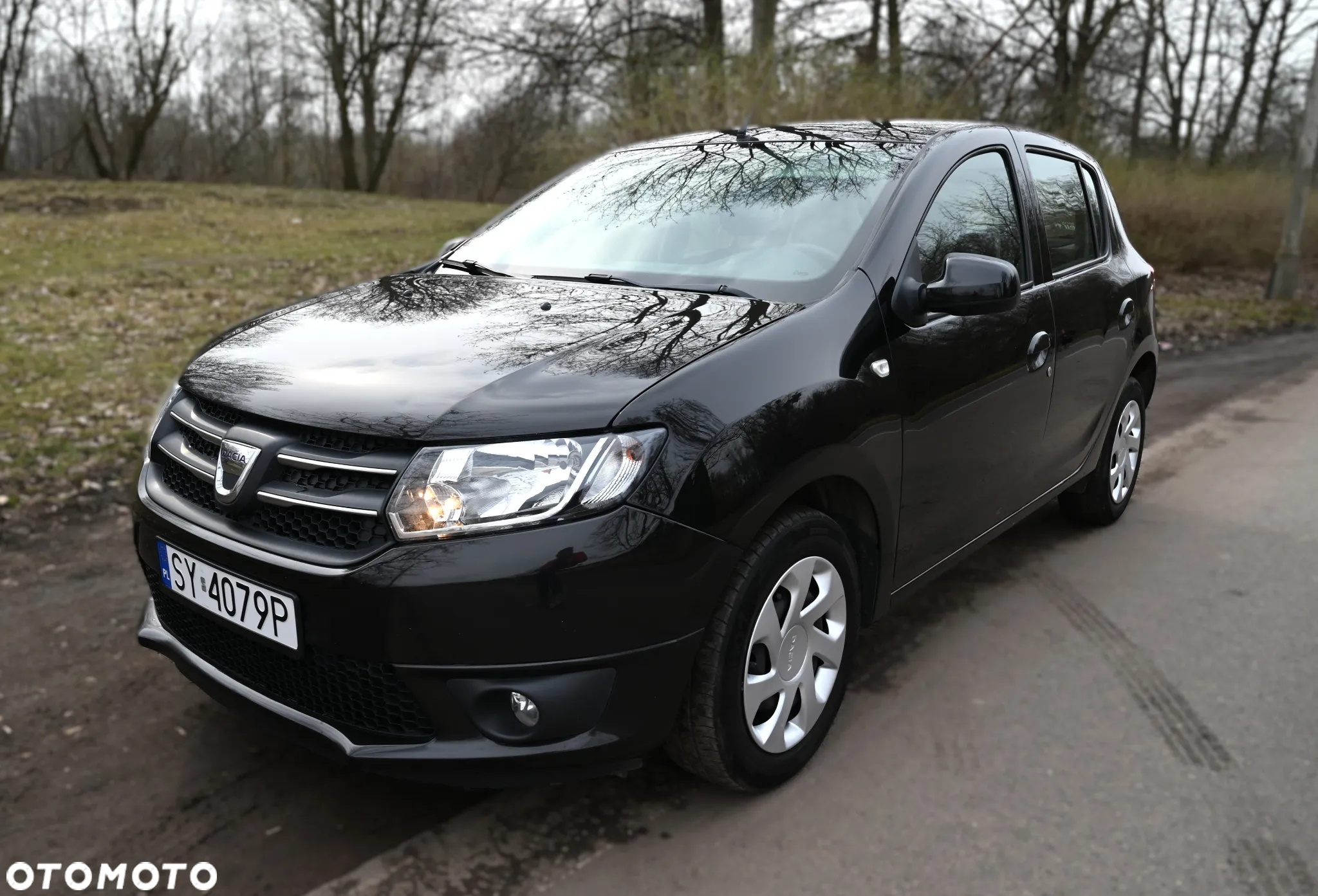 Dacia Sandero - 11