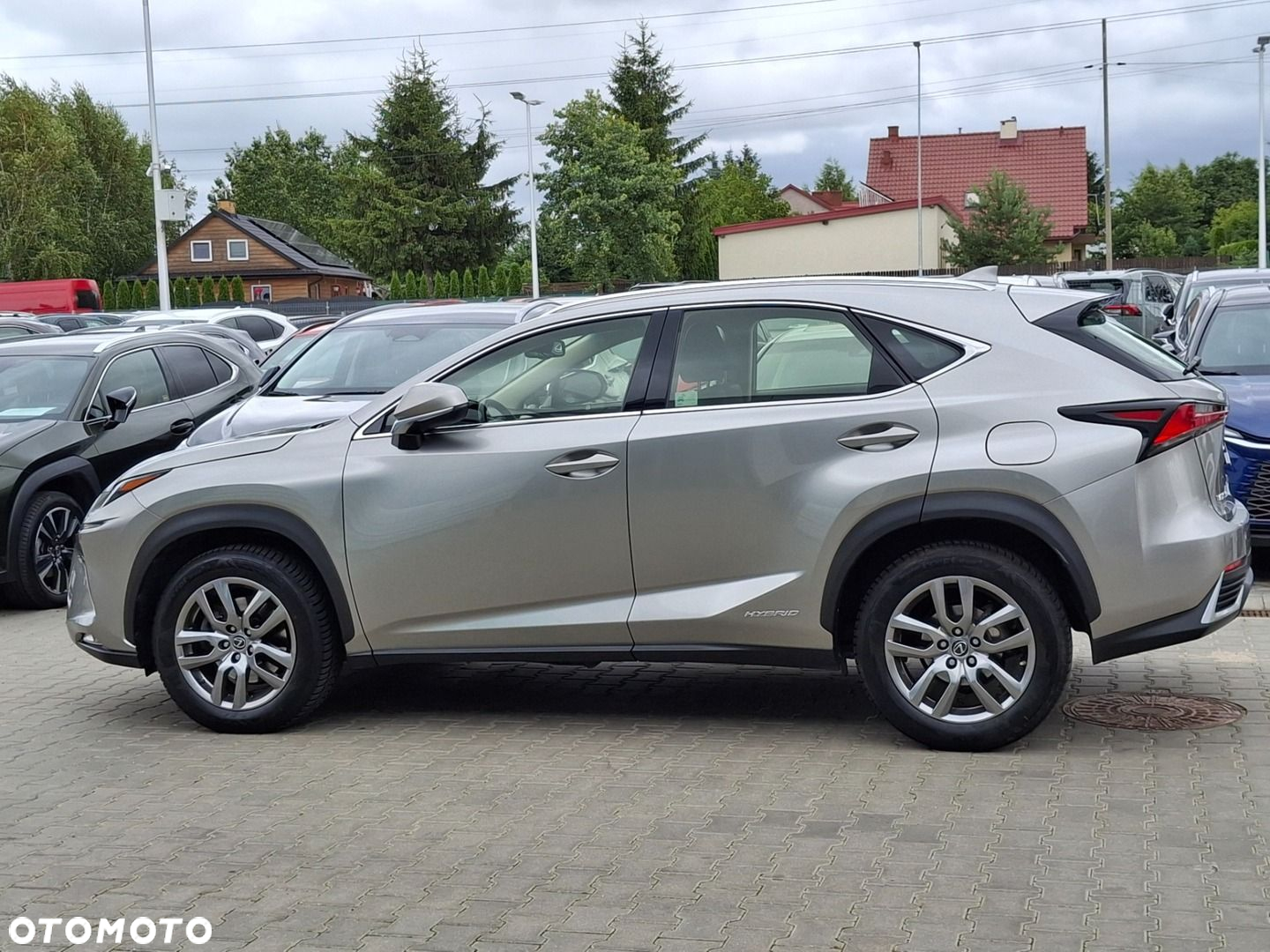 Lexus NX - 31
