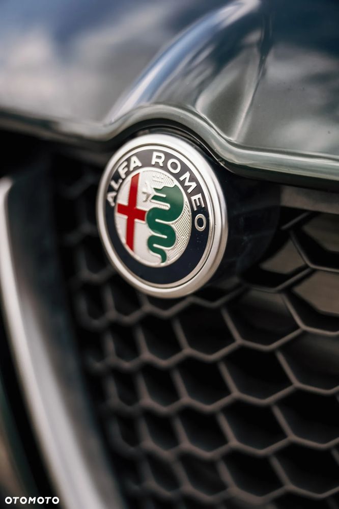 Alfa Romeo Stelvio 2.0 Turbo 16V AT8-Q4 Lusso Ti - 20