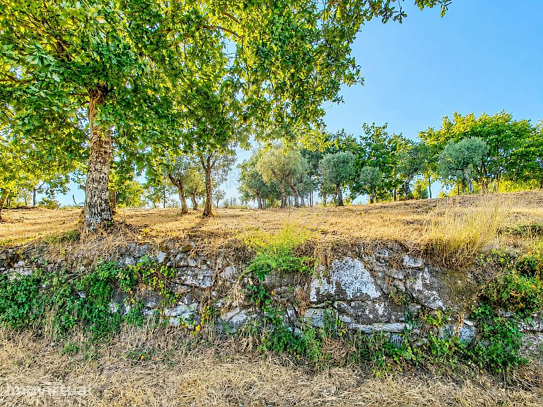 Terreno  para venda - Grande imagem: 5/6