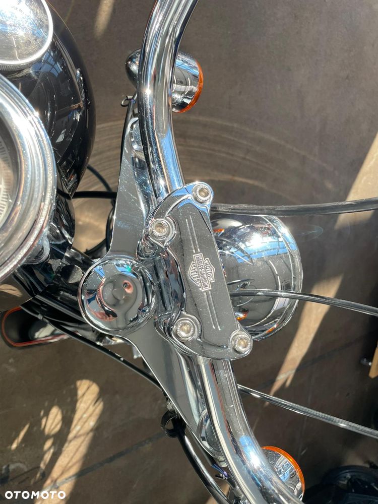 Harley-Davidson Softail - 19