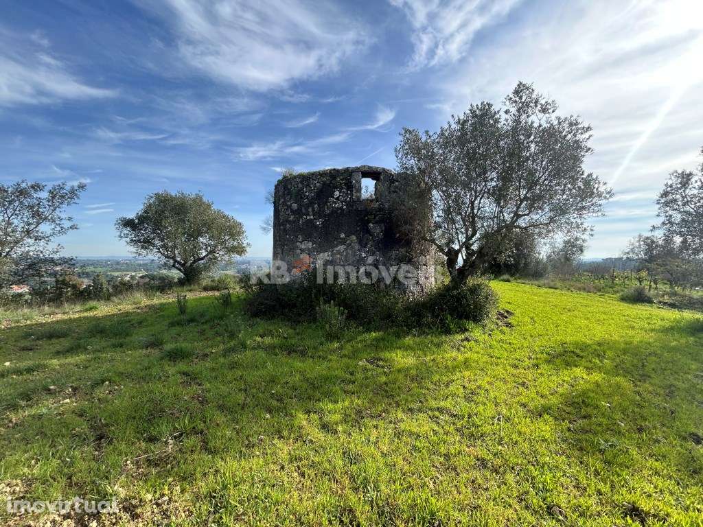 Terreno c/ PDM urbano e Moinho para recuperar - Pimenteiras, Torres... - Grande imagem: 3/32