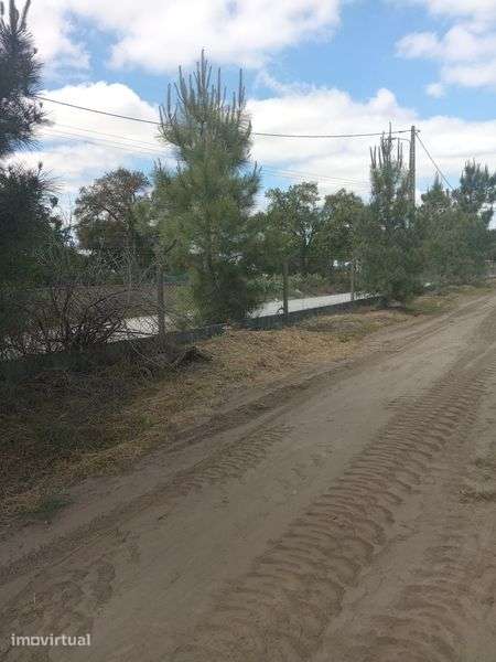 Terreno 5 mil euros de entrada p/ casa movel - Grande imagem: 4/10