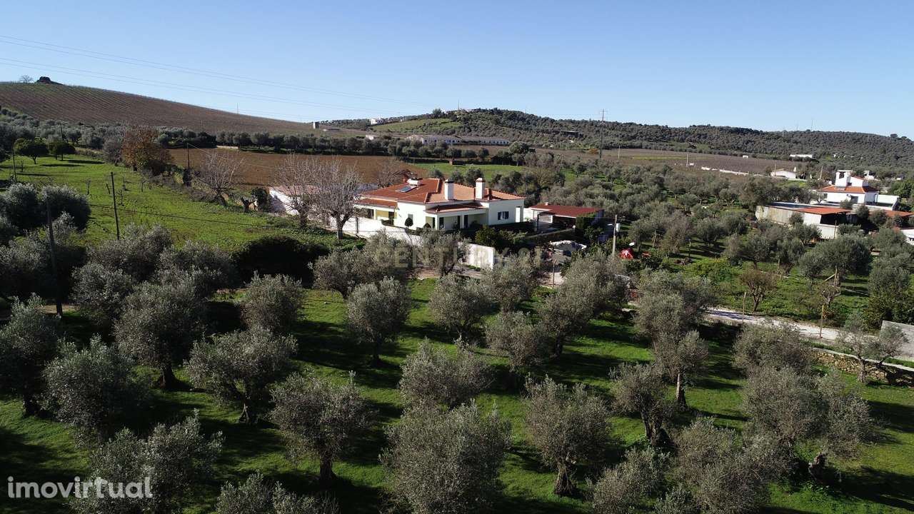 Moradia Térrea T4+1 - Grande imagem: 3/60