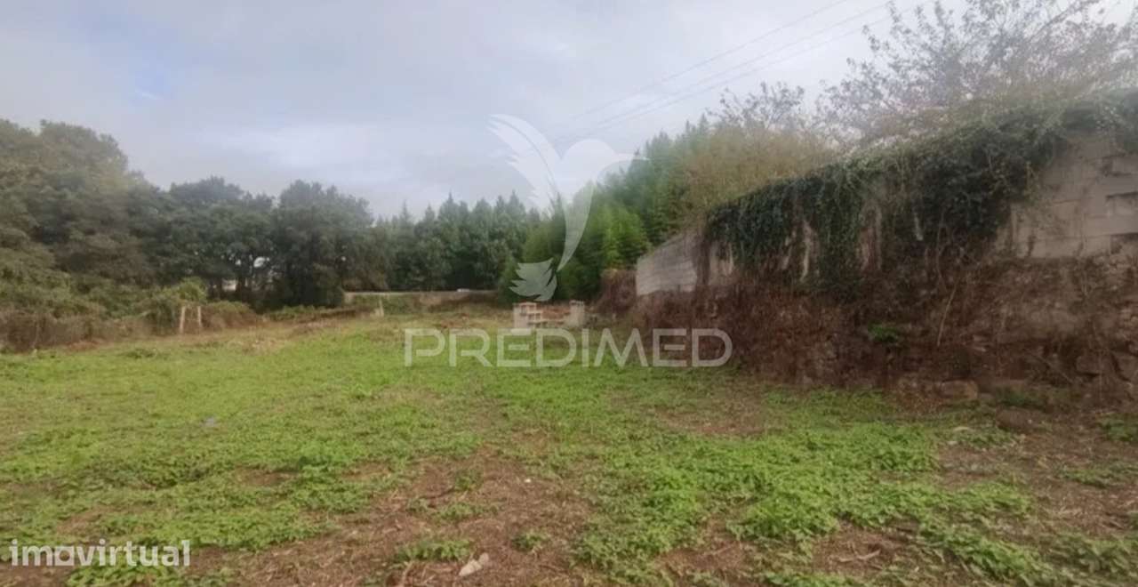 V3 Totalmente Renovada com Terreno Amplo e Poço em Santa Maria de L... - Grande imagem: 3/3