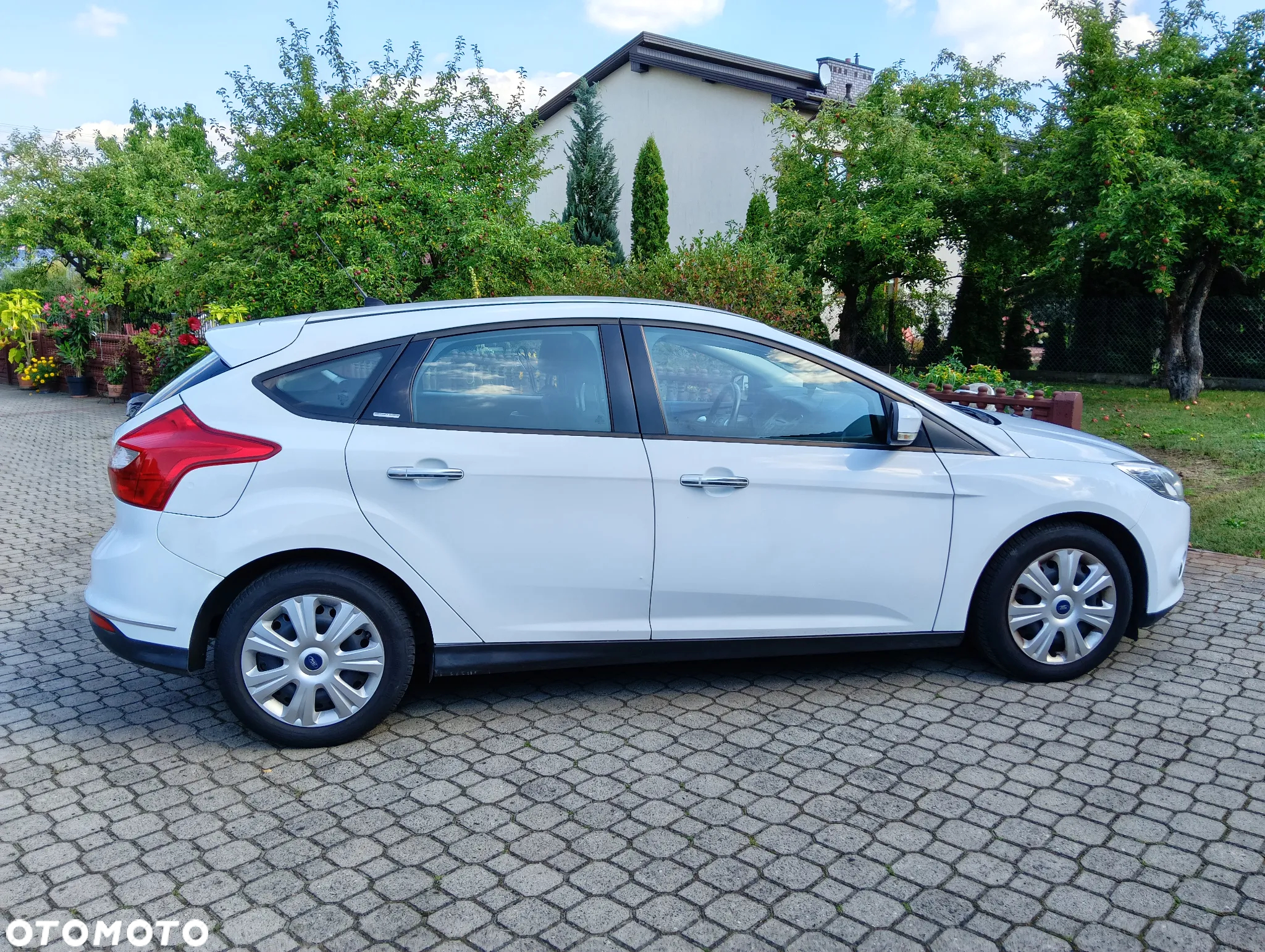 Ford Focus - 7