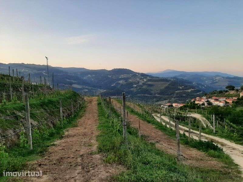 Propriedade no Douro . - Grande imagem: 4/9