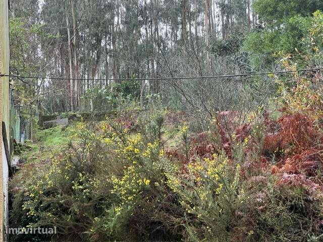 Lote Construção Moradia 3 Frentes Gaia  a 2 Km Hospital Santos Silva - Grande imagem: 2/22