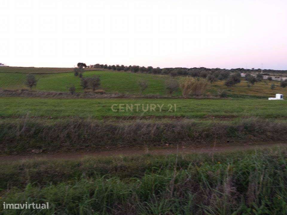 Terreno Rústico com Olival em Produção, Poço e Potencial Agrícola | Ar - Grande imagem: 5/15