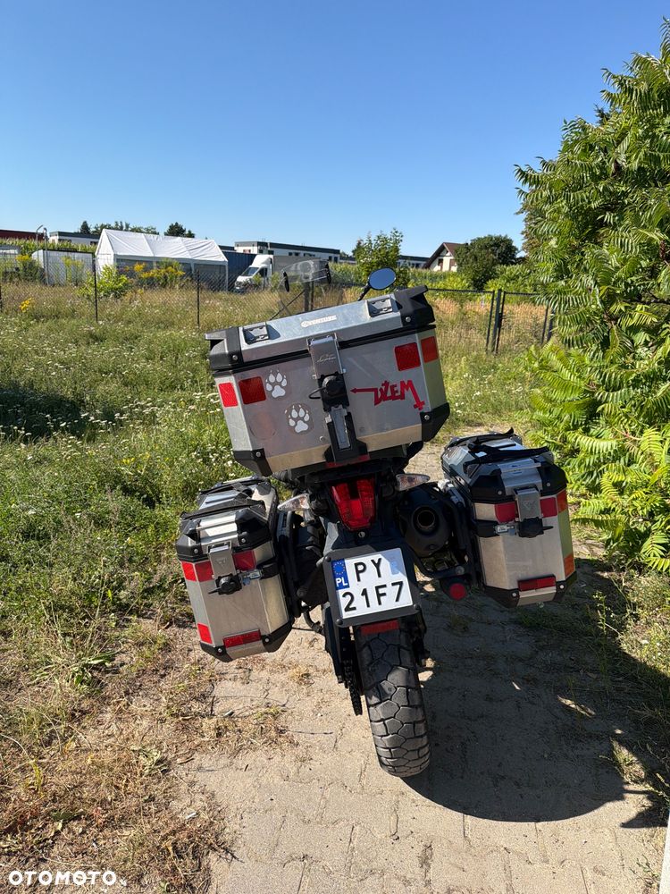 Triumph Tiger - 5