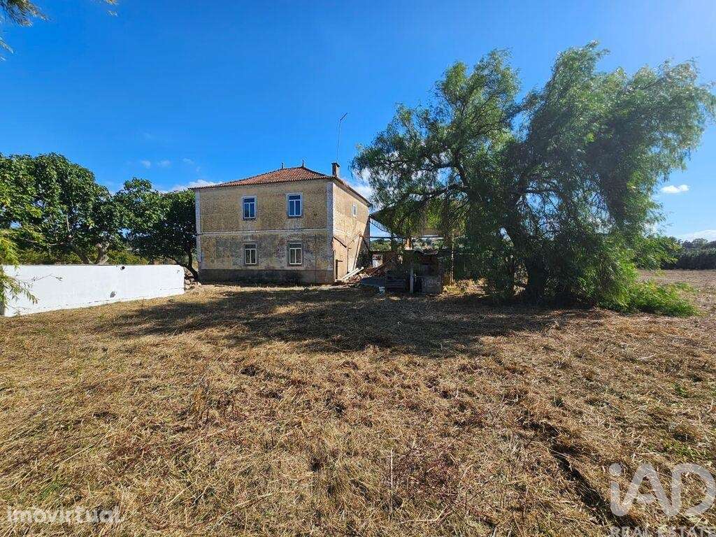 Quinta T3 em Torres Novas (Santa Maria, Salvador e Santiago) de 244 m2 - Grande imagem: 2/40