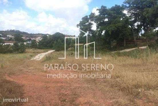 5 Terrenos Rústicos - Grande imagem: 2/3
