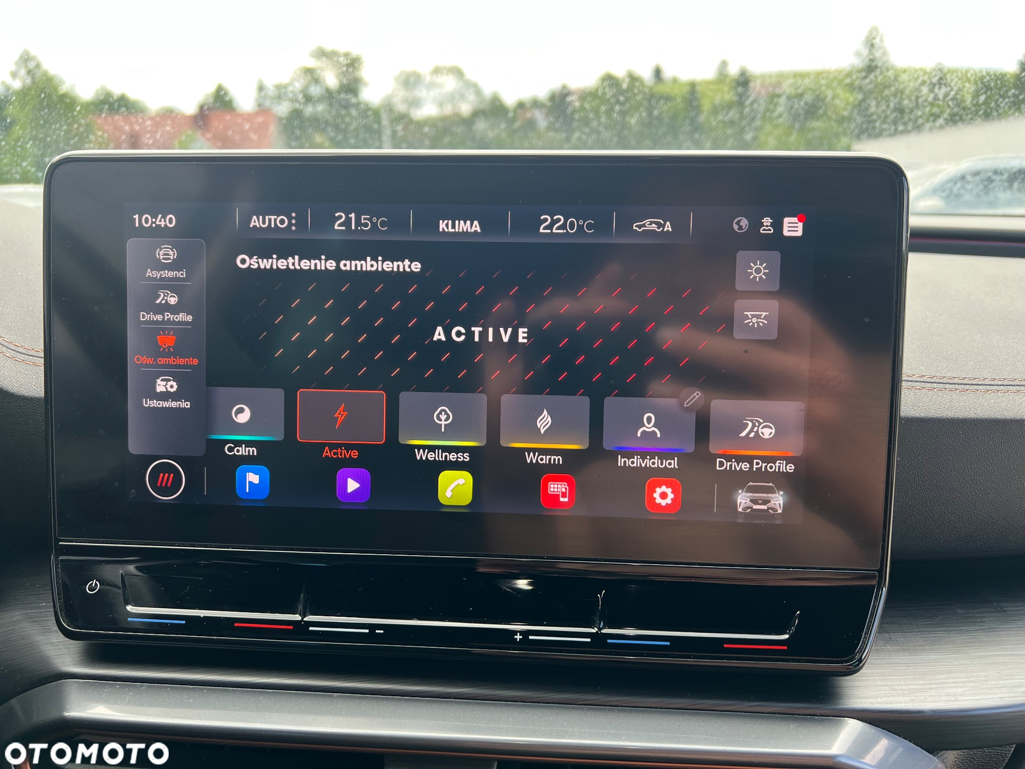 Cupra Formentor 2.0 TDI - 16
