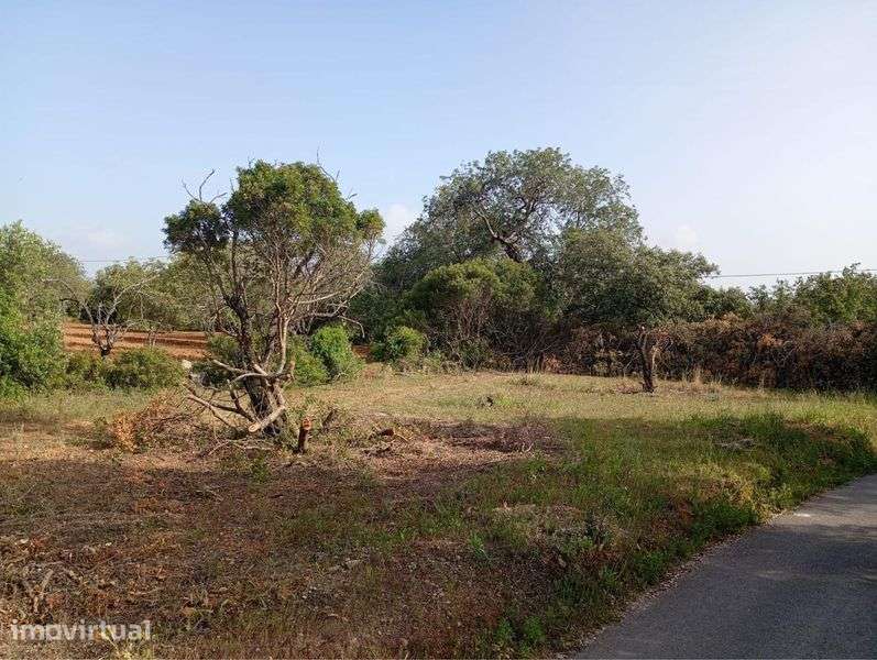 Vendo terreno em Loulé - Grande imagem: 3/5
