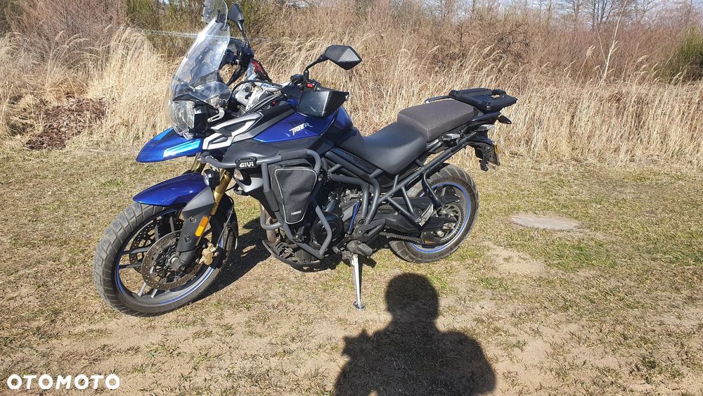 Triumph Tiger - 1