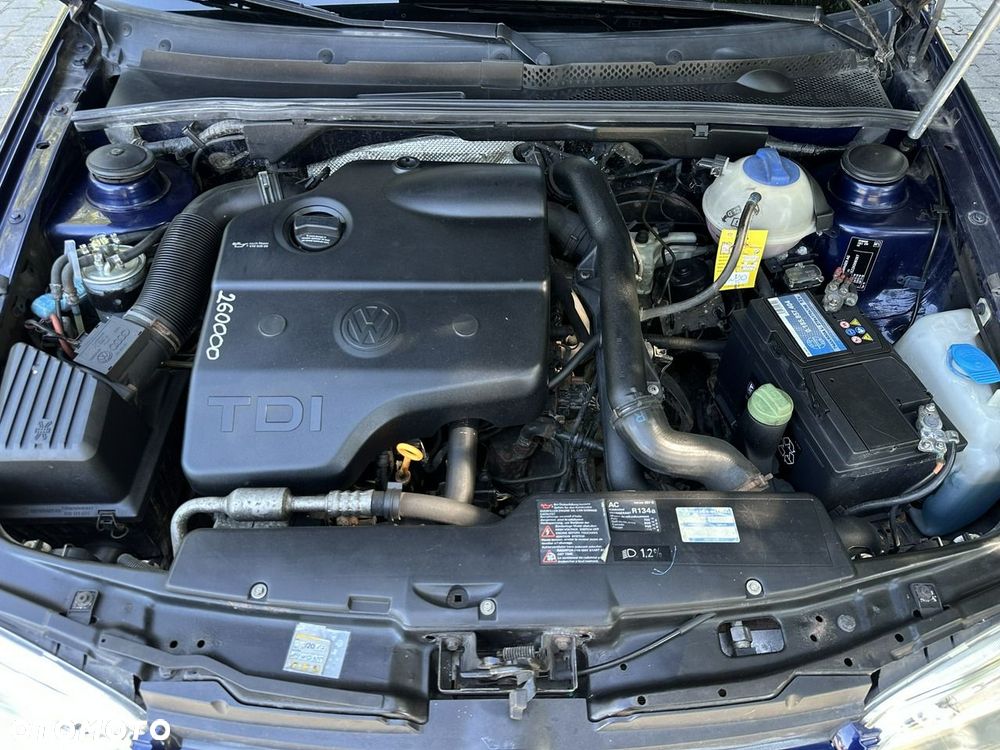 Volkswagen Golf - 31