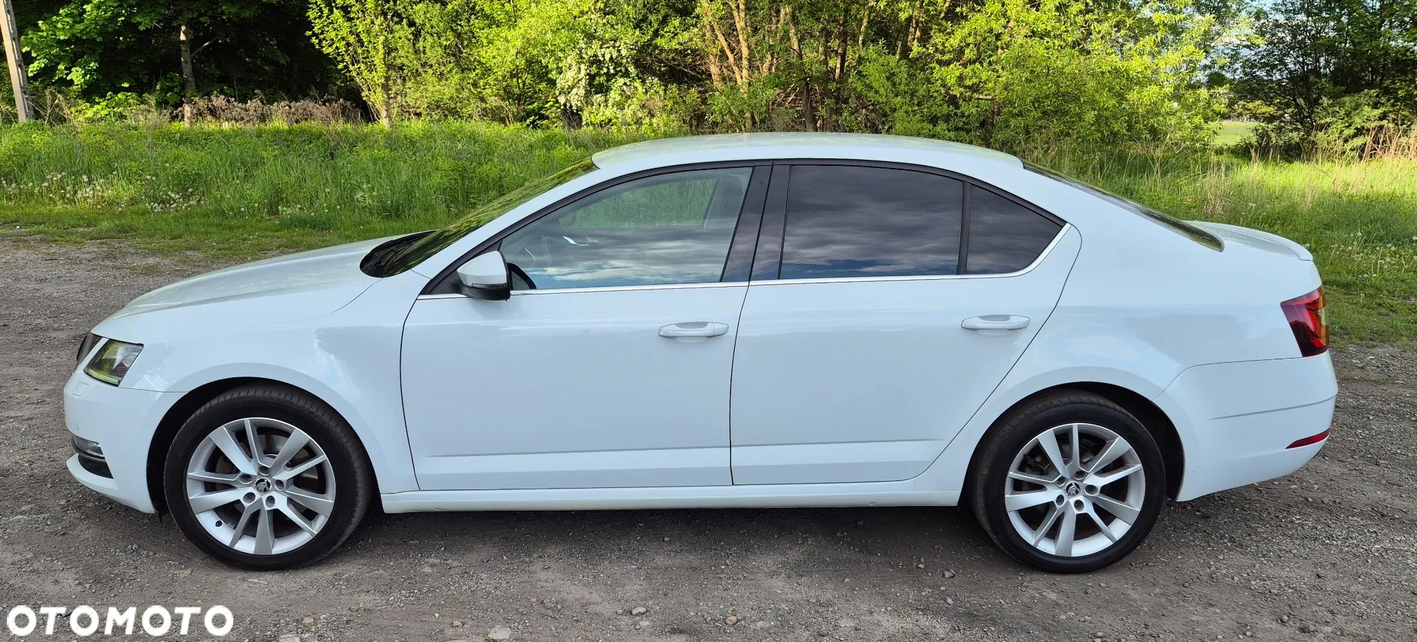 Skoda Octavia 2.0 TDI 4x4 Style DSG - 2