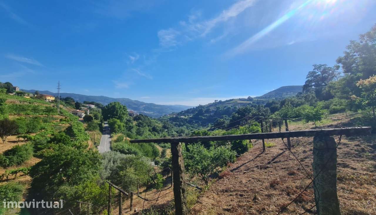 Venda Terreno, Santa Marinha do Zêzere, Baião - Grande imagem: 3/30