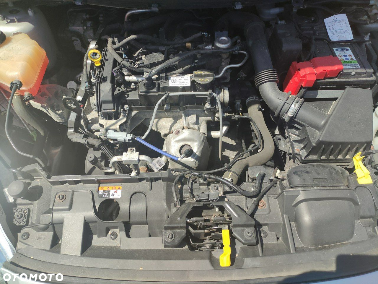 Ford Fiesta - 25