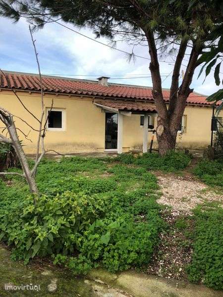 Óptimo Investimento Imobiliário - Grande imagem: 3/5