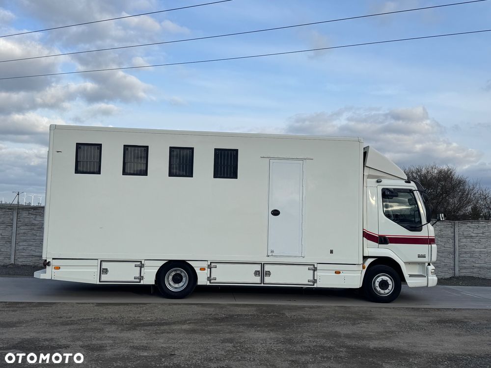 DAF LF 45.170 Koniowóz - 28