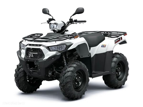 Kawasaki Brute Force