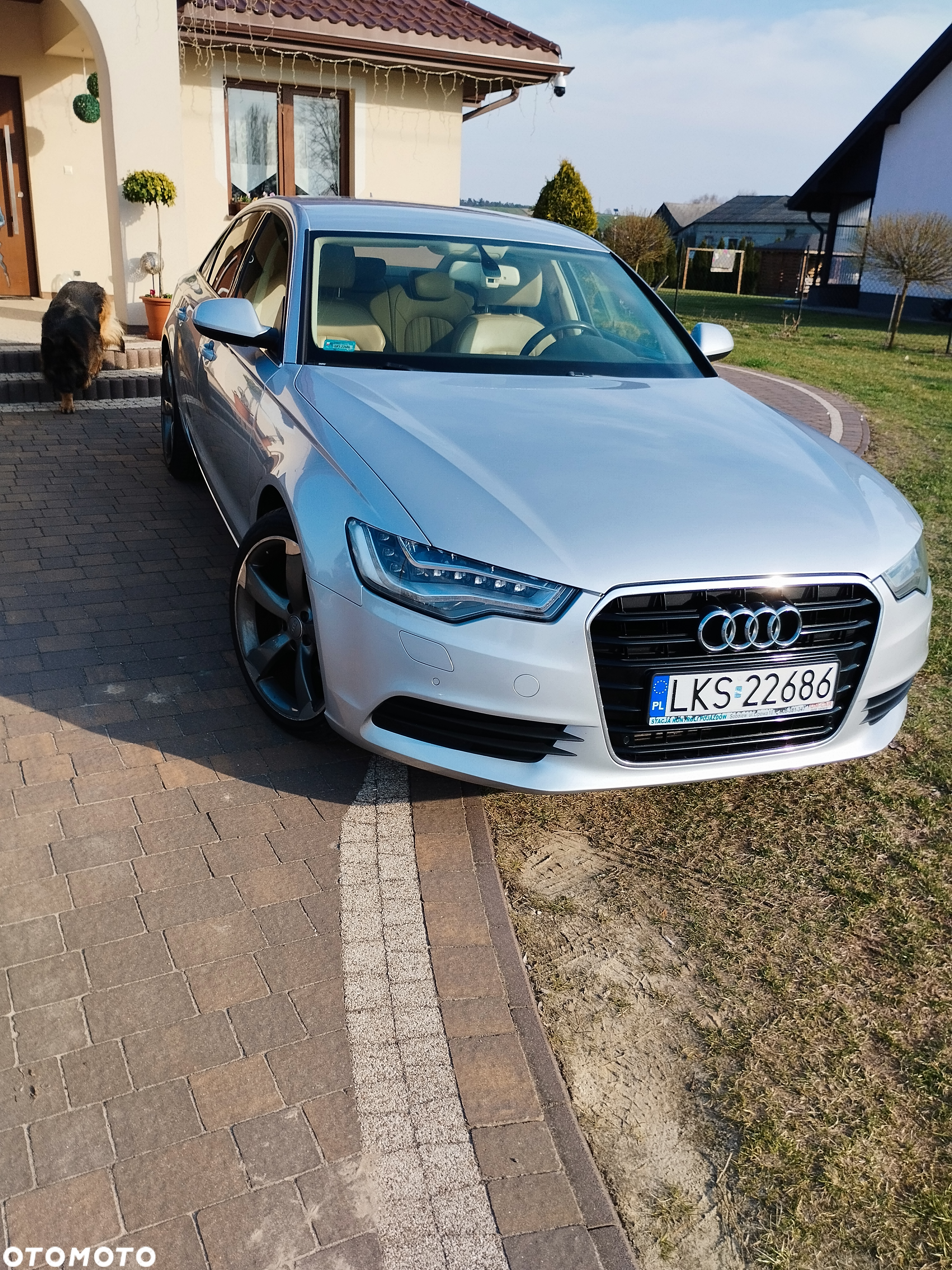 Audi A6 2.0 TDI DPF - 3