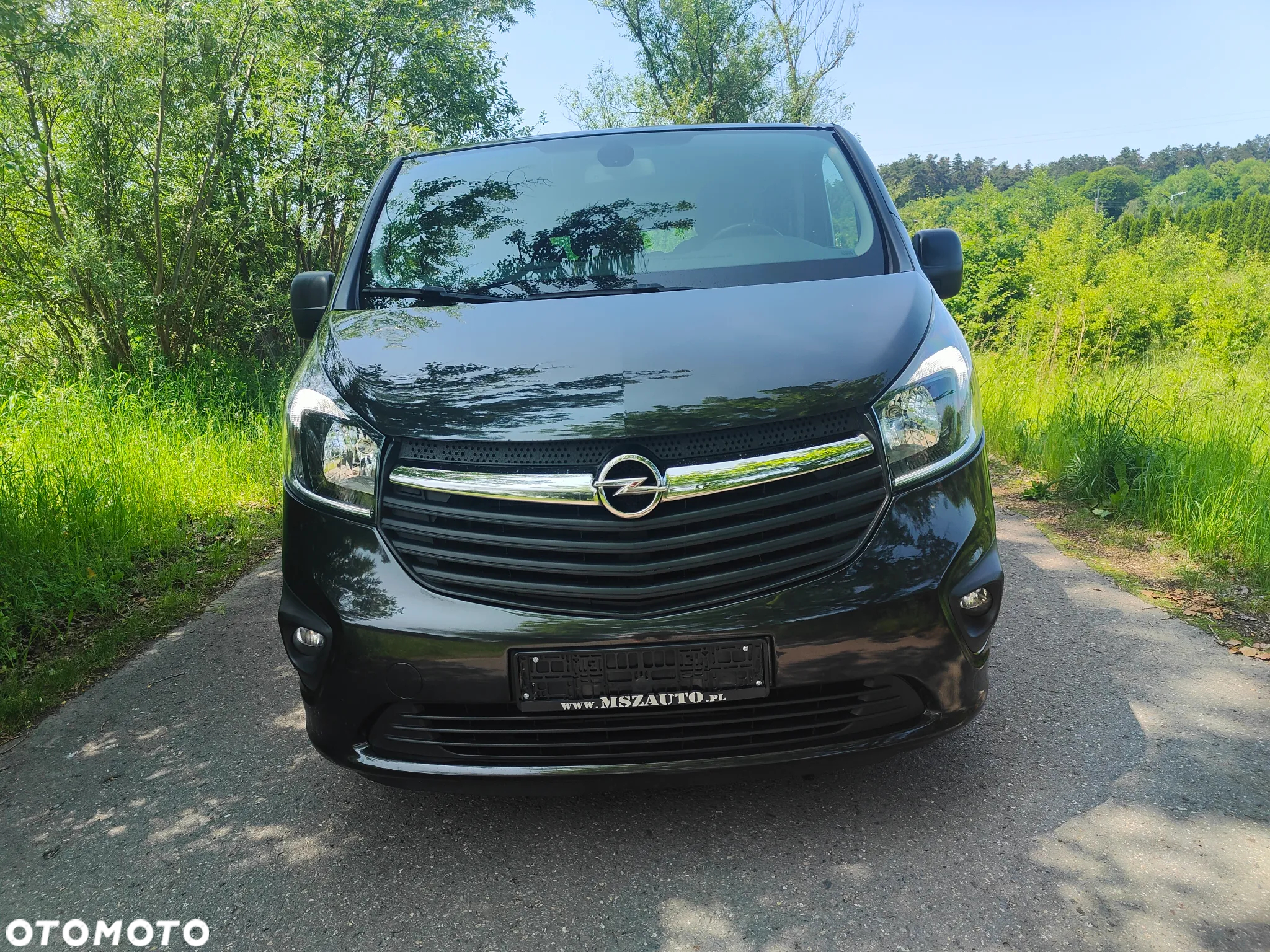 Opel Vivaro - 2