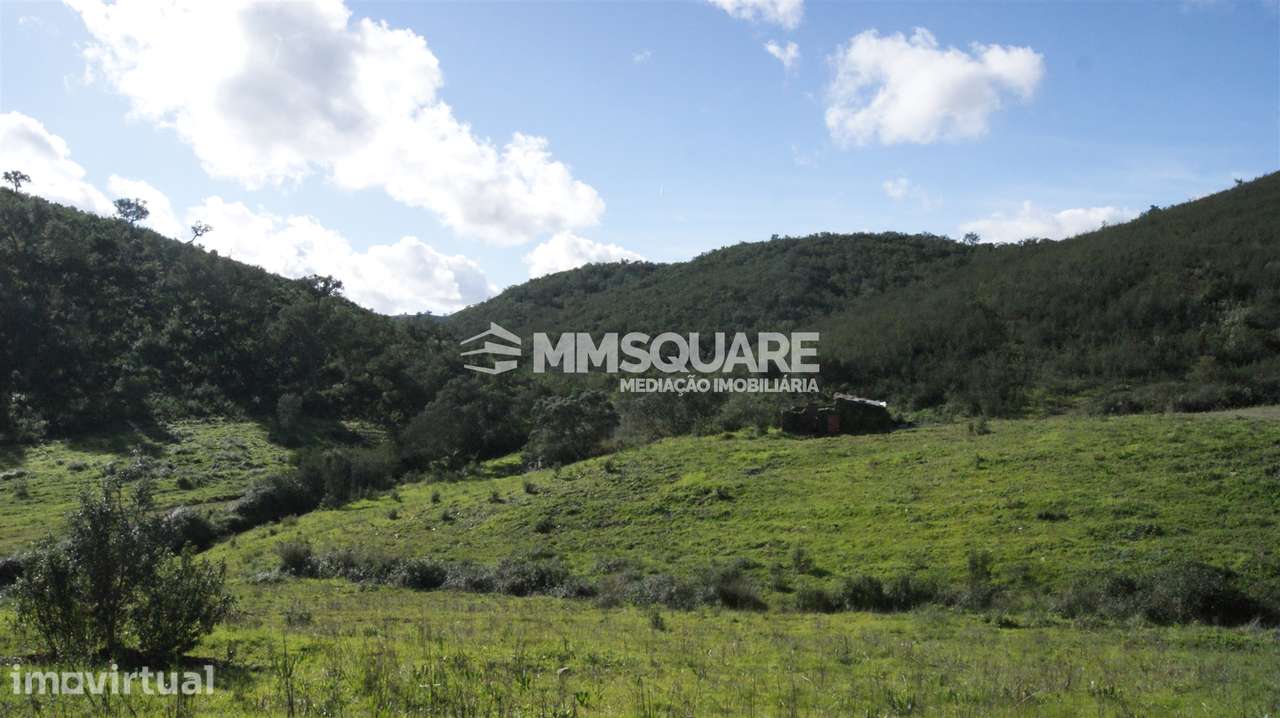 Herdade  Venda em Santana da Serra,Ourique - Grande imagem: 3/15