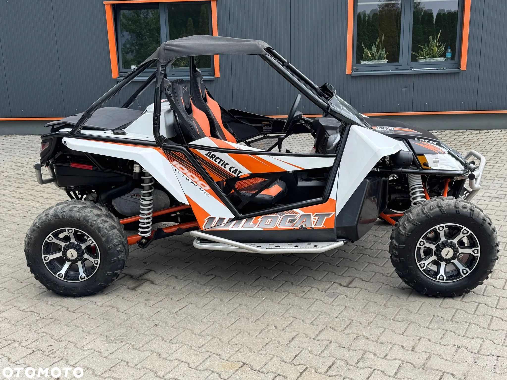 Arctic Cat Inny