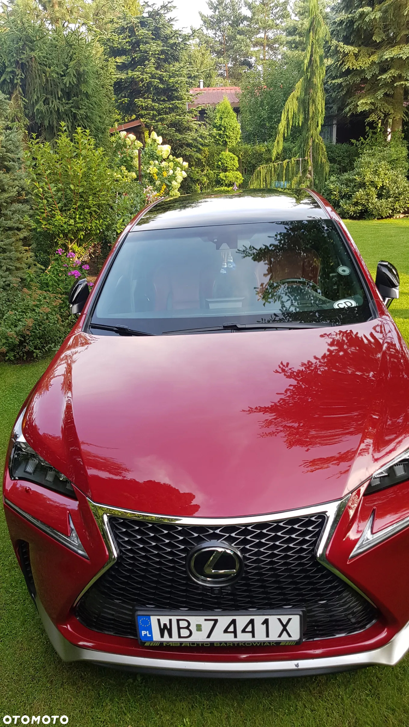 Lexus NX 200t F Sport AWD - 5