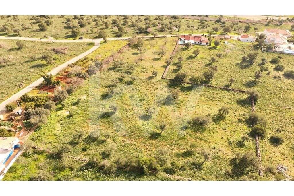 Terreno Agrícola com Viabilidade de Construção - Alcantarilha - Grande imagem: 2/8